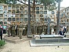 DSCF0015.JPG