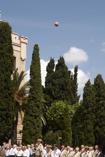 1063-038.jpg