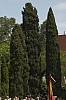 1063-052.jpg 1063-052.jpg