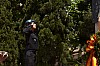 1063-107.jpg 1063-107.jpg